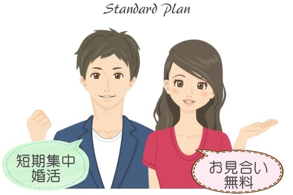 スタンダードプラン費用
