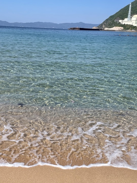 海でのプロポーズ