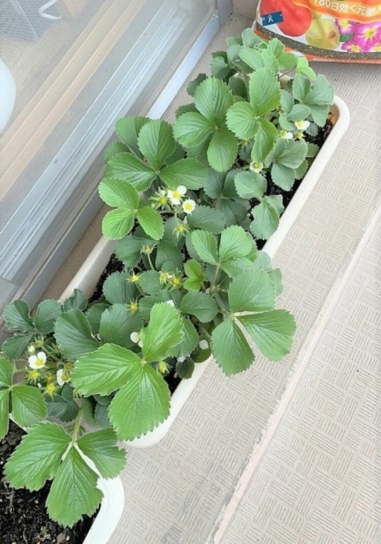 ホット一息